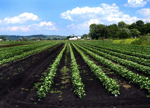 Water and wastewater plant for Agriculture Farm Industries